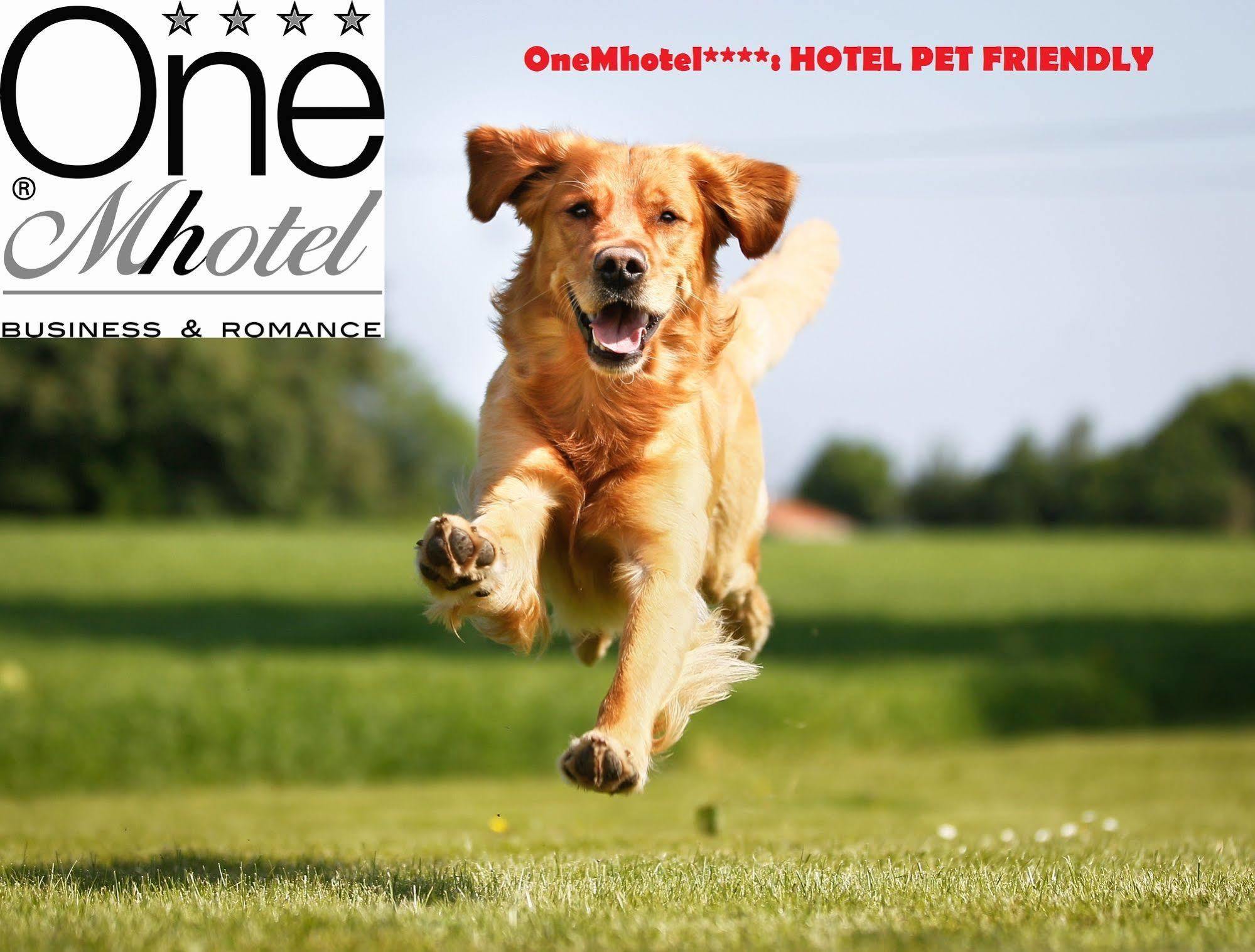 Onemhotel San Paolo  Bagian luar foto